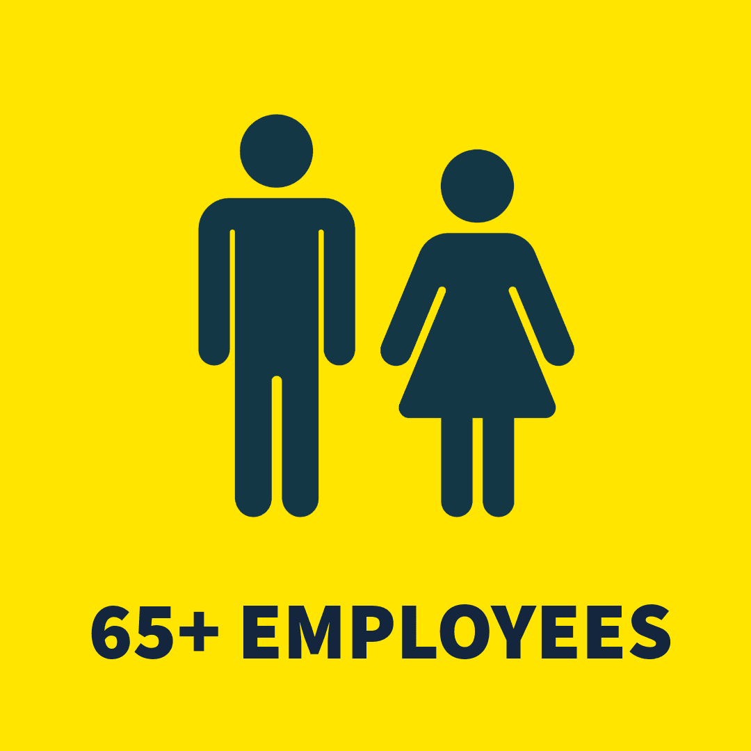 65+ employees
